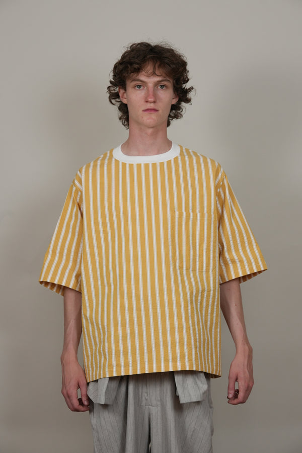 Ribbed Collar T-Shirt bleached stripe