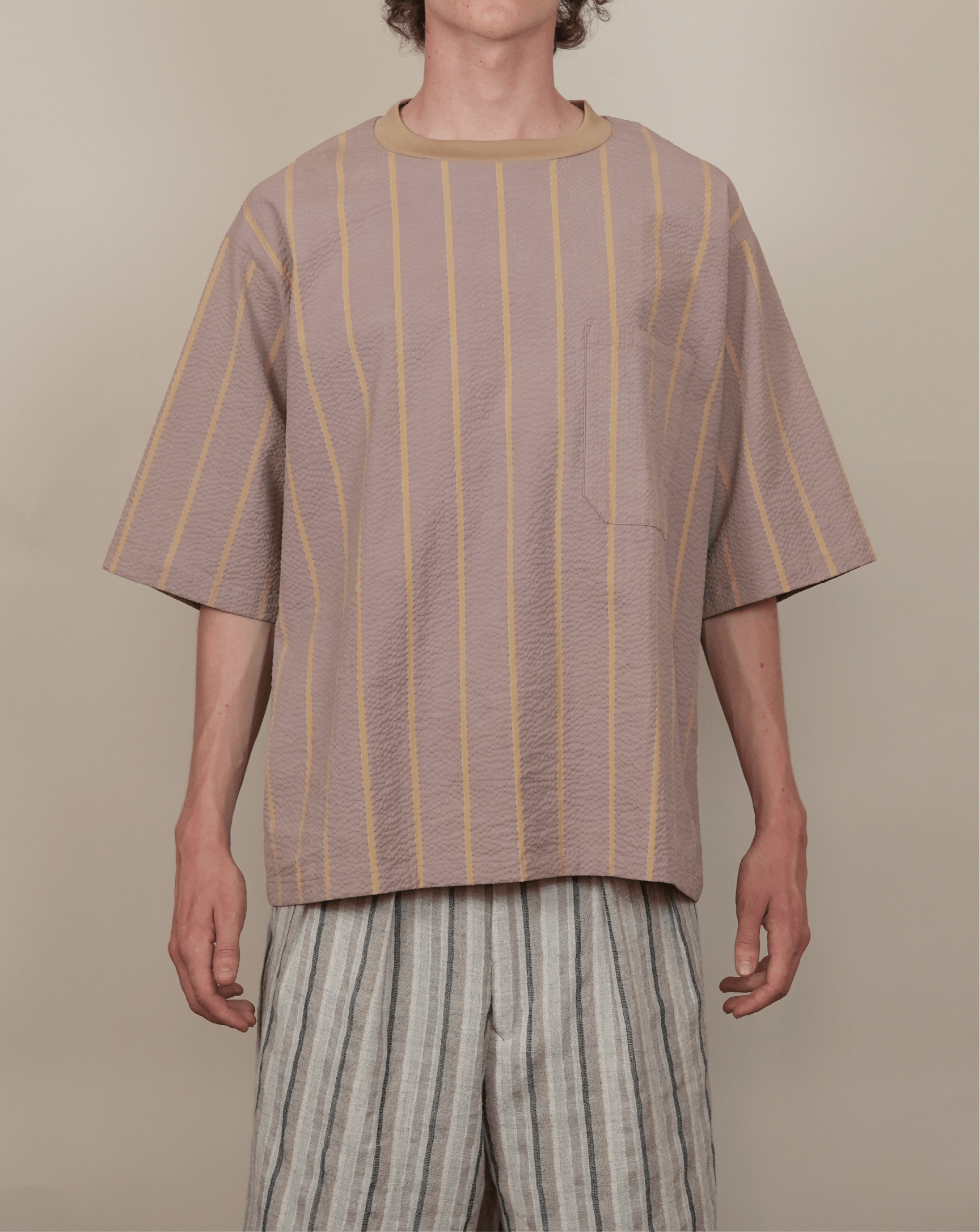 Ribbed Collar T-Shirt bleached stripe