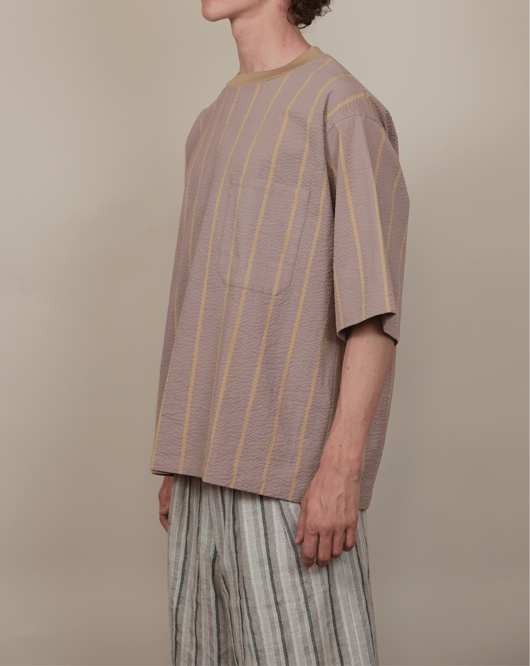 Ribbed Collar T-Shirt bleached stripe
