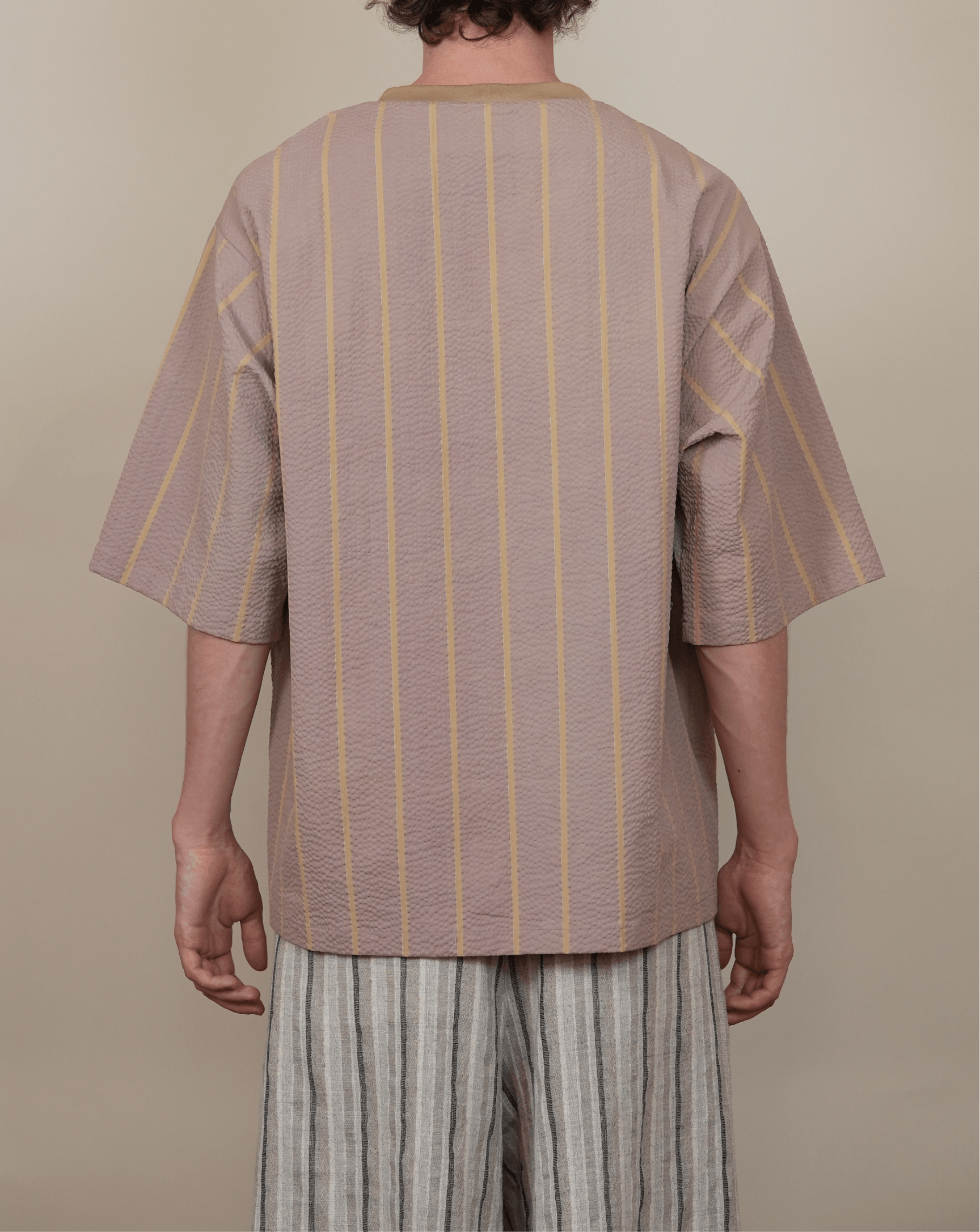 Ribbed Collar T-Shirt bleached stripe