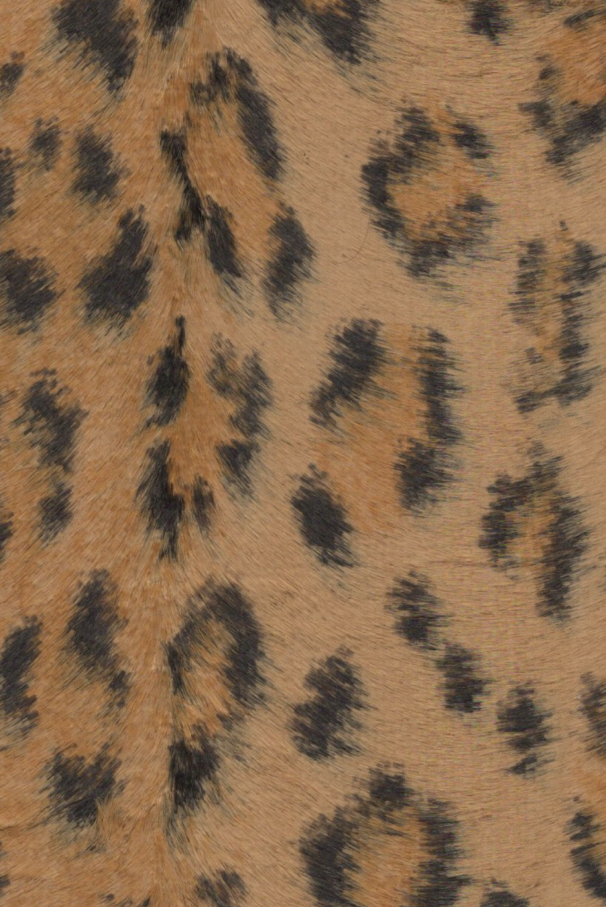 No Collar Reversible Blouson beige/leopard